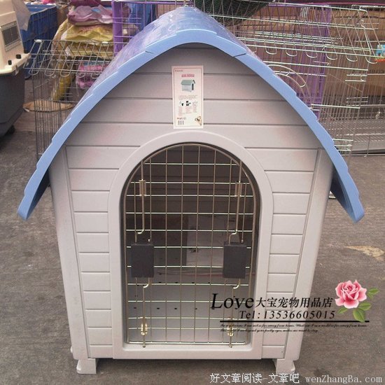 狗屋的读后感10篇