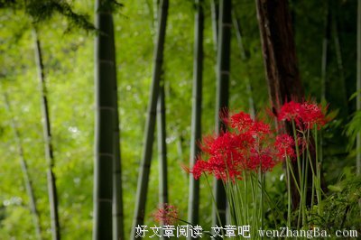 封语江湖读后感10篇