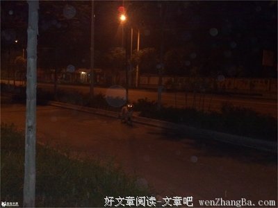关于火眼金睛的座右铭