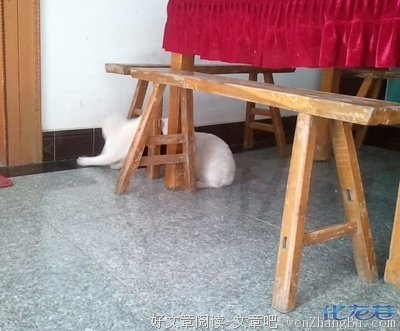 最经典的《活到死不如玩到死》小说书摘