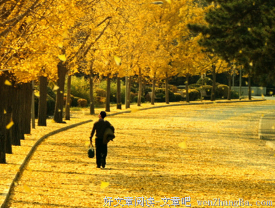 “只问深情，无问西东”的“深情”从何而来？——评《无问西东》