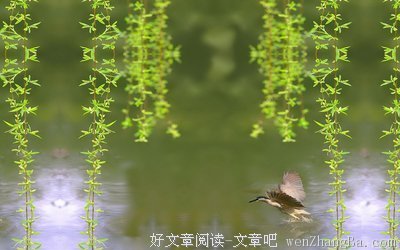 狂热的名言_关于狂热的名言