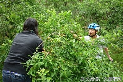 李下的名句_关于李下的名句