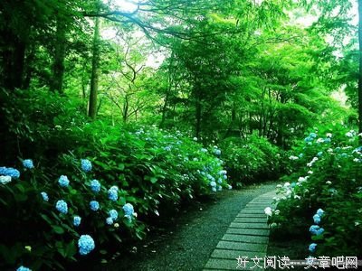 文乡书评｜羡慕你飘洋过海——品读《人生的远航》