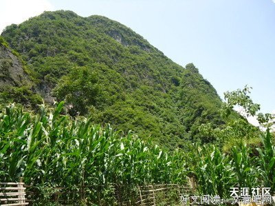 5位一生都在流浪的作家，带你寻找灵魂的故乡