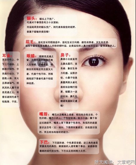 献给天蝎座跟爱天蝎的人！
