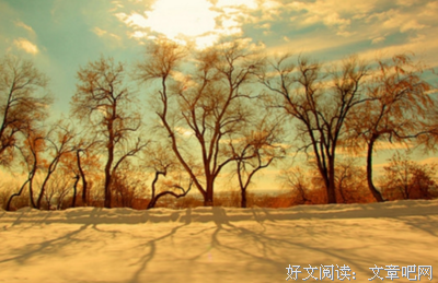 关于适才的格言