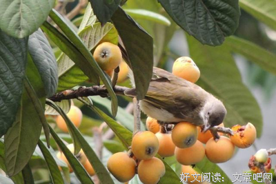 你应该赚很多钱，让母亲随便花