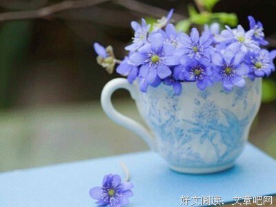关于动听的座右铭