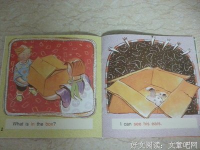 培生幼儿英语·预备级19｜完美宠物，The Perfect Pet