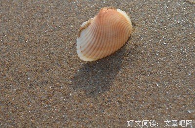 《翡翠岛编年》读后感10篇