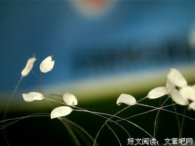 养精蓄锐的句子