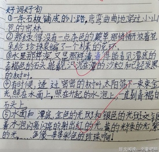 关于爱面子的名句摘抄
