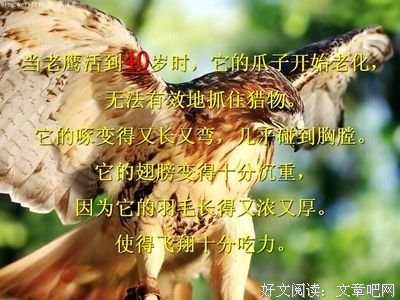 最经典的《重生校园之商女》佳句摘抄