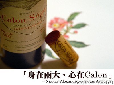 15条关于拉图的经典语句