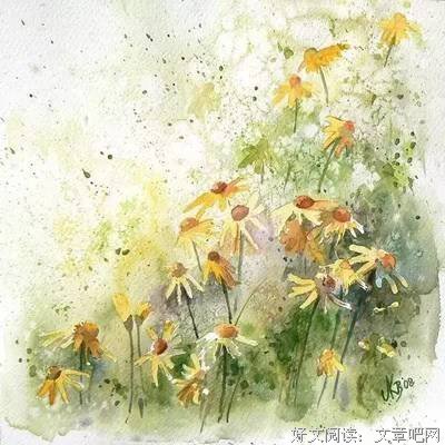 鱼那么信任水，水却煮了鱼