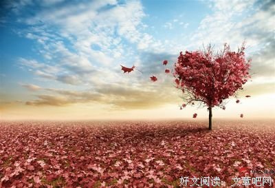 《童年过后一百天》好看吗？经典观后感10篇