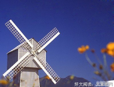 《老狗》影评精选10篇