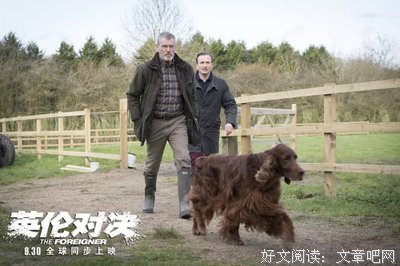 《爱尔兰》的影评10篇