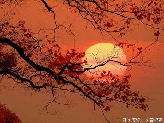2017小楼名言名句