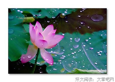 《一粒红尘2》经典句子