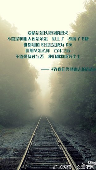 最经典的《致青春》小说句子