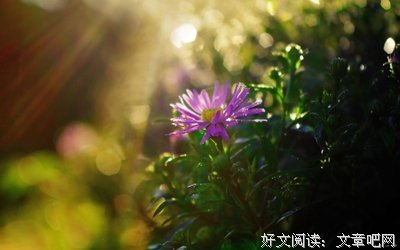 最新的《莫失莫忘》好段摘抄