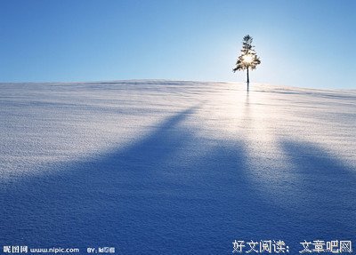 关于自若的语句