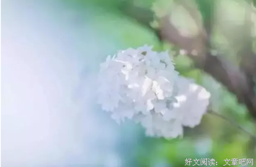 用一颗初心，在岁月中前行