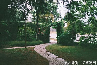 早已明知对他的爱，开始就不应该