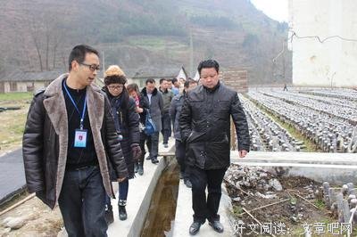 这些投身寺庙的年轻人，才是真佛系