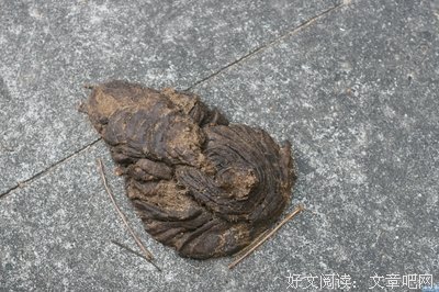 王小二2018年旅行计划