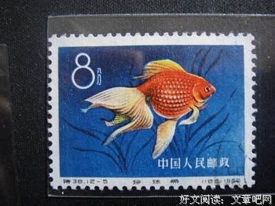 群的读后感10篇