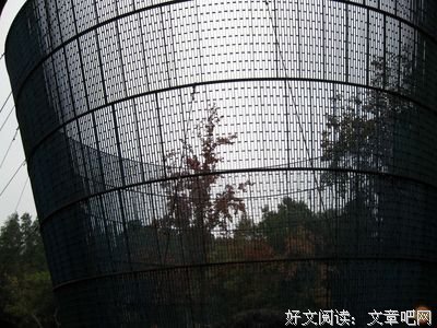 《迷神引》的读后感10篇