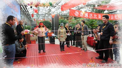 《偷天陷阱》观后感10篇