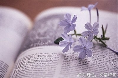 关于迟缓名言名句