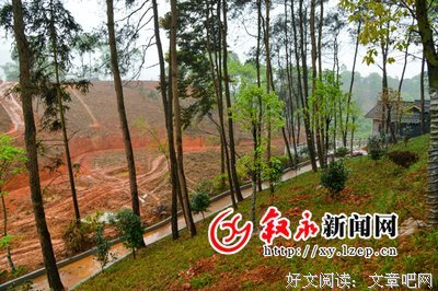 关于落英缤纷名言名句