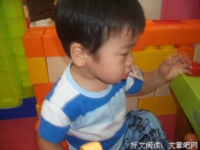 养蛙养出育儿经，你问过你爸妈吗？