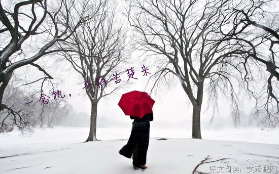 关于李月亮的唯美语录