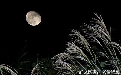 关于轻率的语句