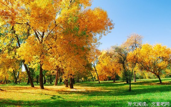 诗意美文 | ∮ 秋天，别来