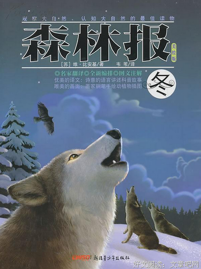 鼓捣森林读后感10篇