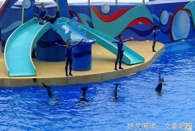 《与鲨同游》观后感10篇