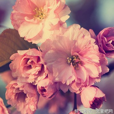 婚姻不易，不要轻易说爱，也不要轻易说散