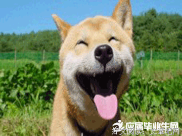 关于斯蒂芬妮·梅尔的唯美语录