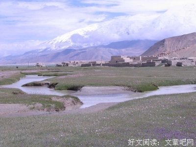 蓝白格子经典名句