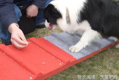 18岁那天，我把第一次给了他