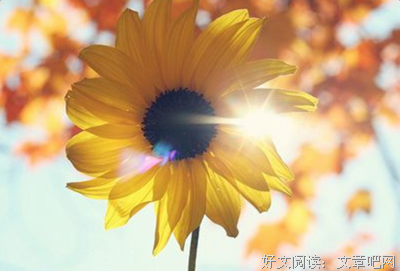 醒醒的句子