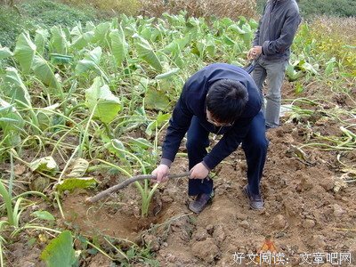 水儿的句子