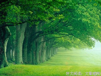 依赖别人的度该如何把握？